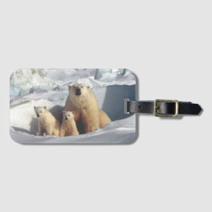 Polar Bears Luggage Tag