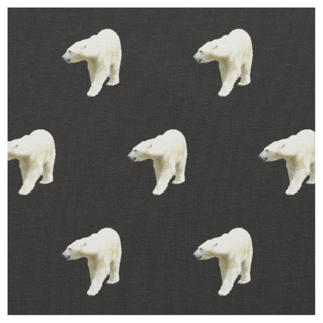 Polar Bears on Black Fabric (Close Up)
