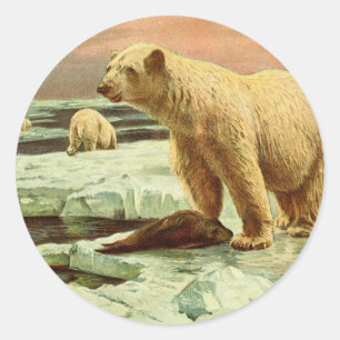 polar bears on glaciers Vintage 1900s art drawing Classic Round Sticker