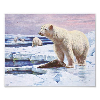 Polar Bears on Ice Floes Art Photo Print