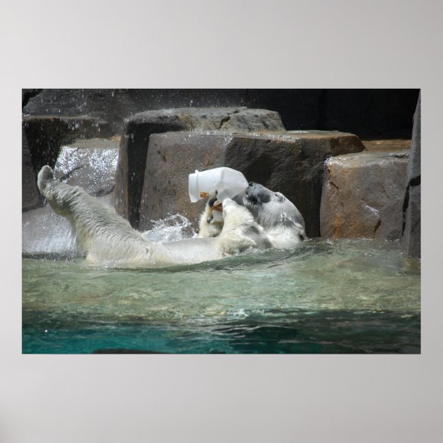 Polar Bears Poster (Front)