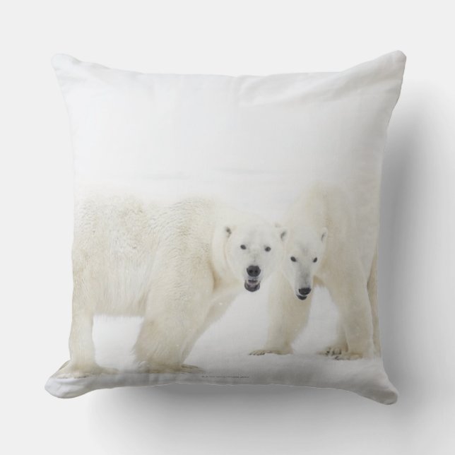 Polar Bears standing on snow after playing 2 Cushion (Front)