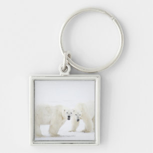 Polar Bears standing on snow after playing 2 Key Ring