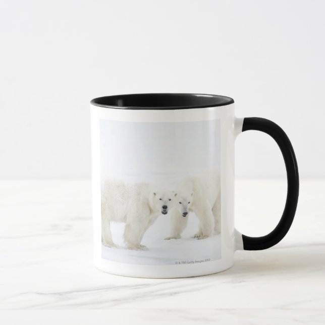 Polar Bears standing on snow after playing 2 Mug (Right)