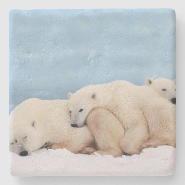 Polar Bears Stone Coaster (Front)