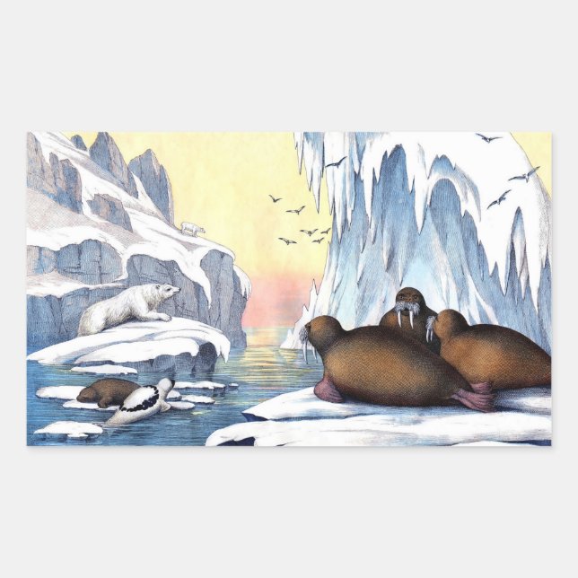 Polar Bears, Walrus, And Seals (Front)