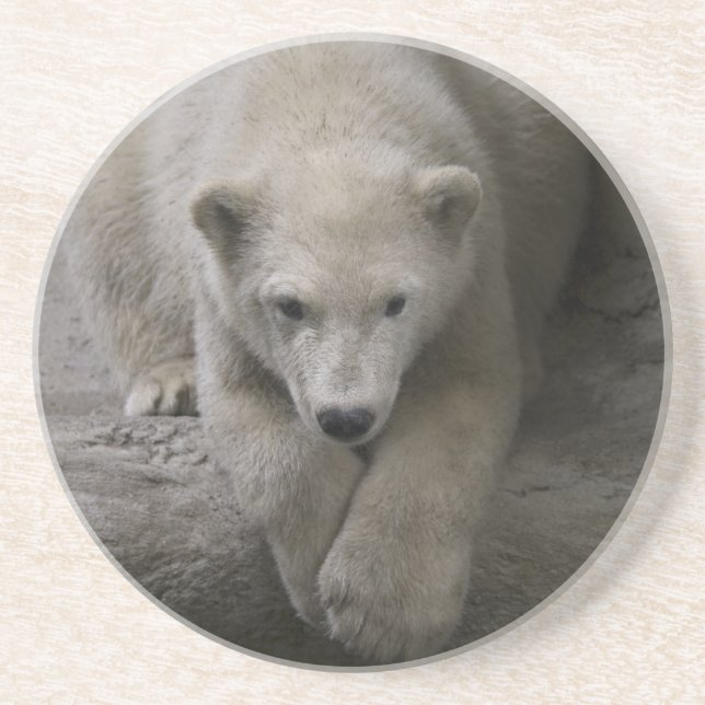 polar coaster (Front)