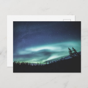 Polar Light Norway Postcard