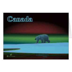 Polar Lights Polar Bear