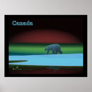 Polar Lights Polar Bear Poster