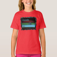 Polar Lights Polar Bear