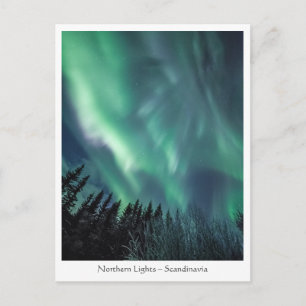 Polar Lights Postcard