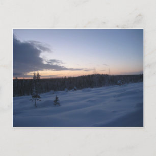 Polar night postcard