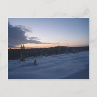 Polar night postcard