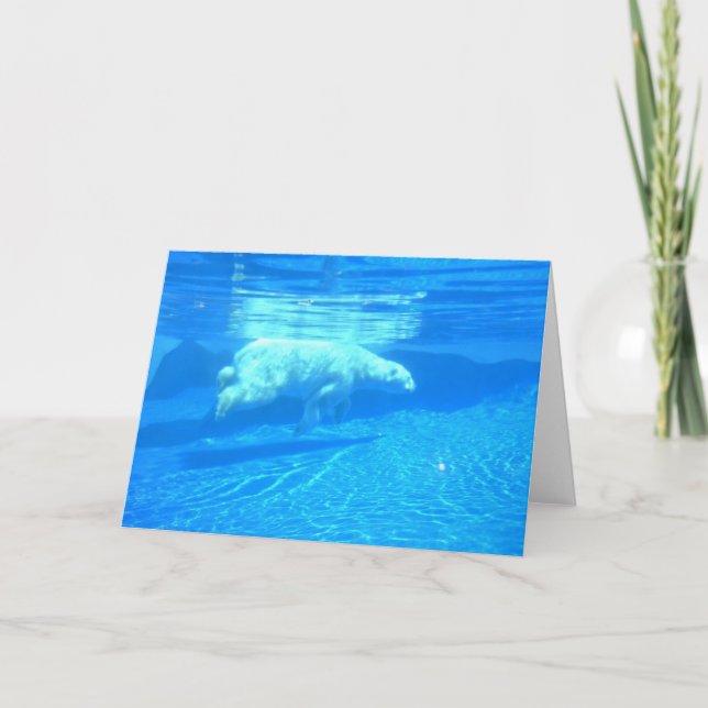 Polar swim card (Front)