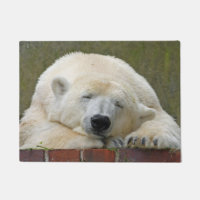 PolarBear 001
