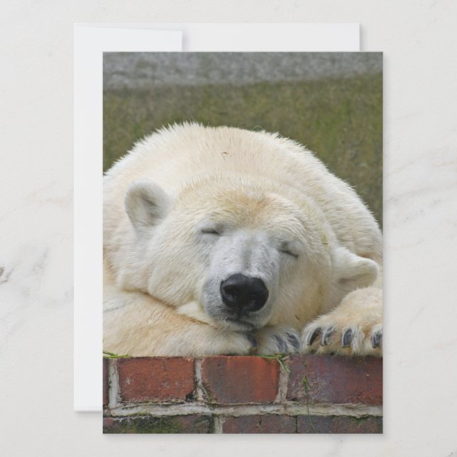 PolarBear 001 Holiday Card (Front)