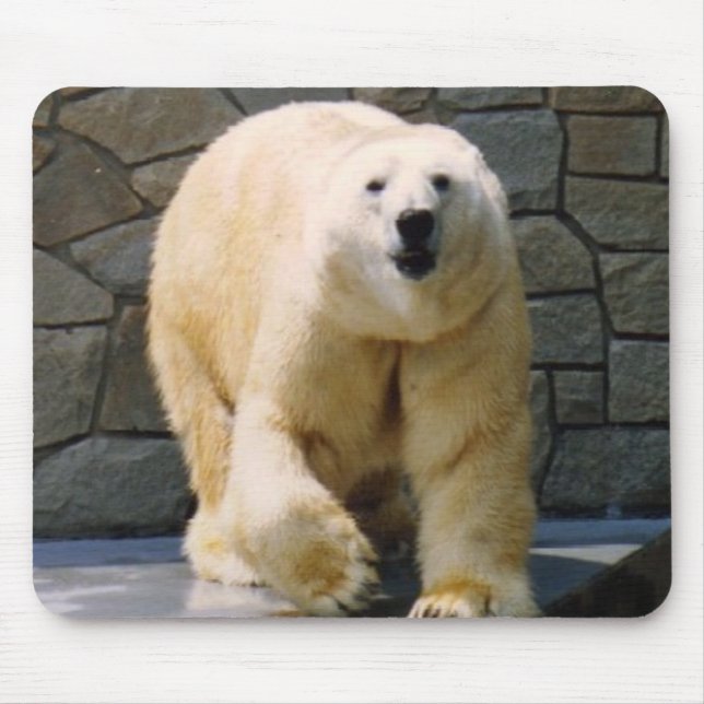 Polarbear Mouse Pad (Front)