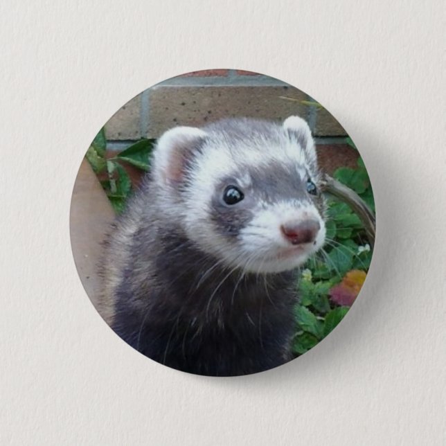 Polecat ferret 6 cm round badge (Front)