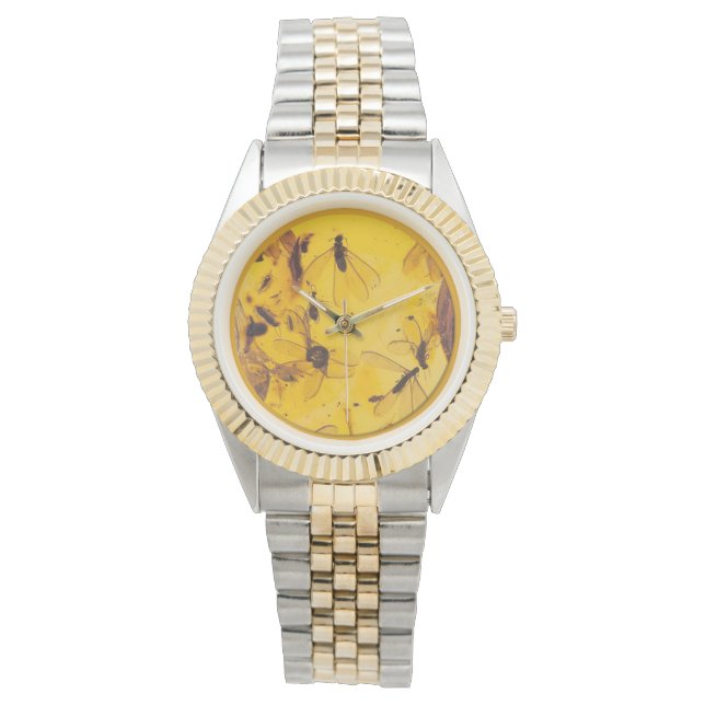 Polish Amber Insects Watch (Front)