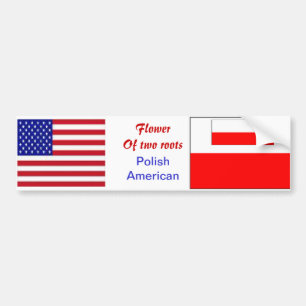 Polish-american bumper stickers