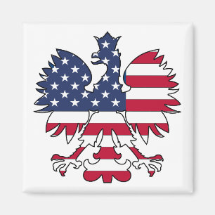 Polish American Eagle Magnet