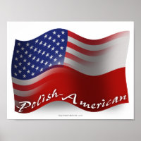 Polish-American Waving Flag