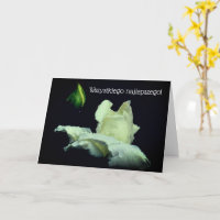 Polish Birthday Card Sto Lat White Rosebud