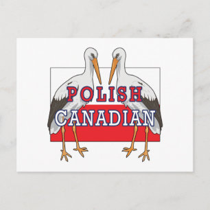 Polish Canadian Stork Postcard