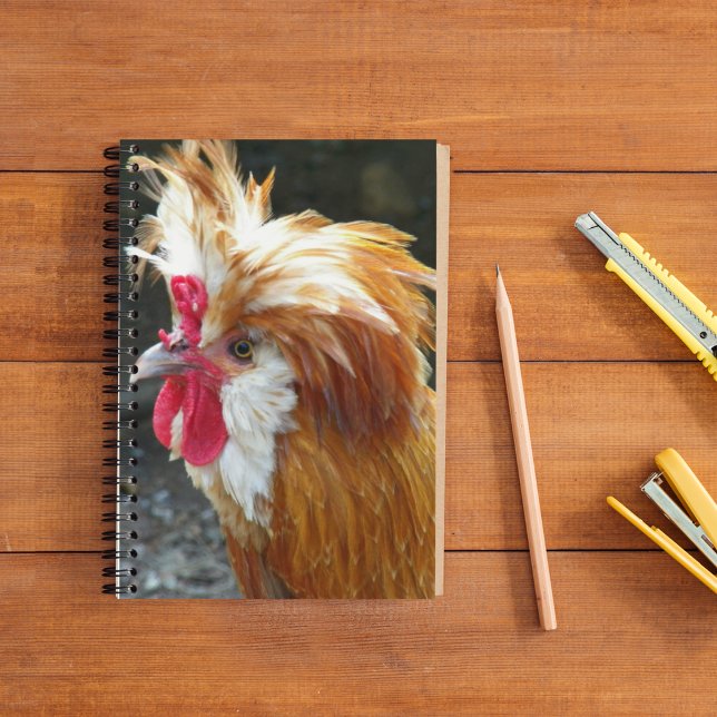 Polish Chicken Photo Notebook (In Situ)