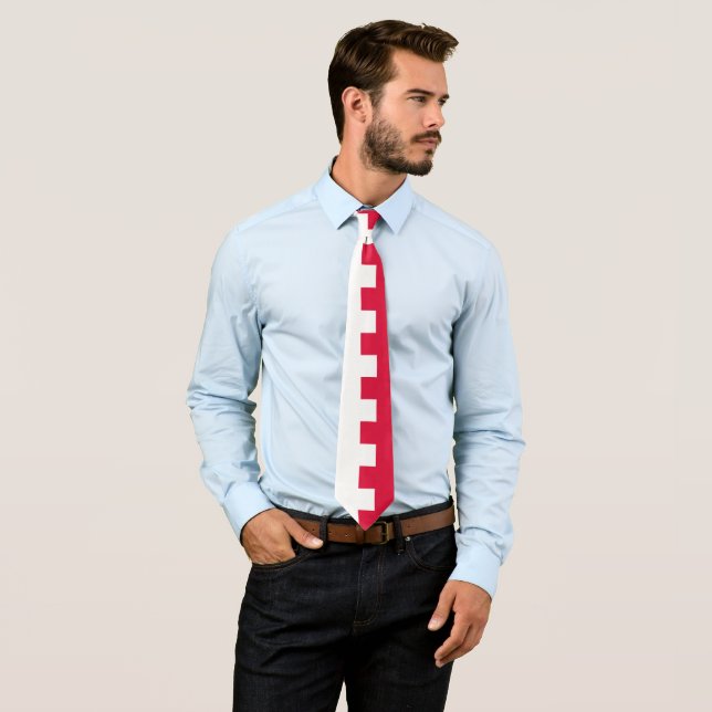 Polish Flag & Poland business, travel /sports Tie (In Situ)