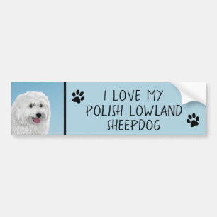 Polish Lowland Sheepdog Painting - Dog Art Bumper Sticker