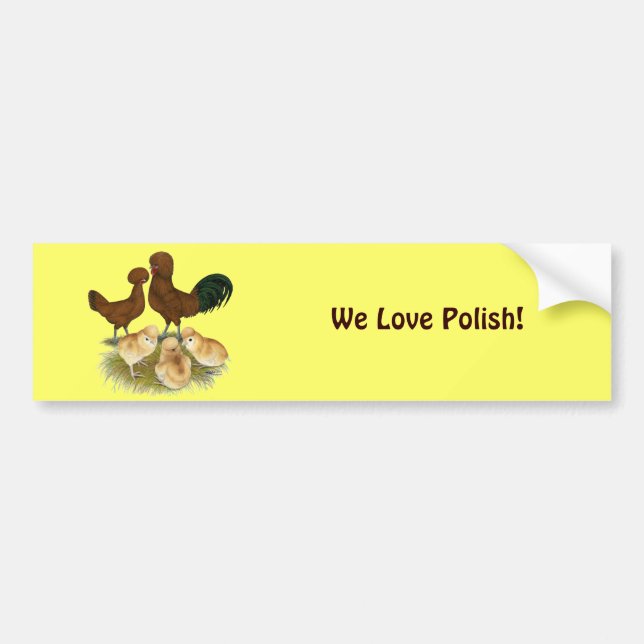 Polish:  Red Family Bumper Sticker (Front)