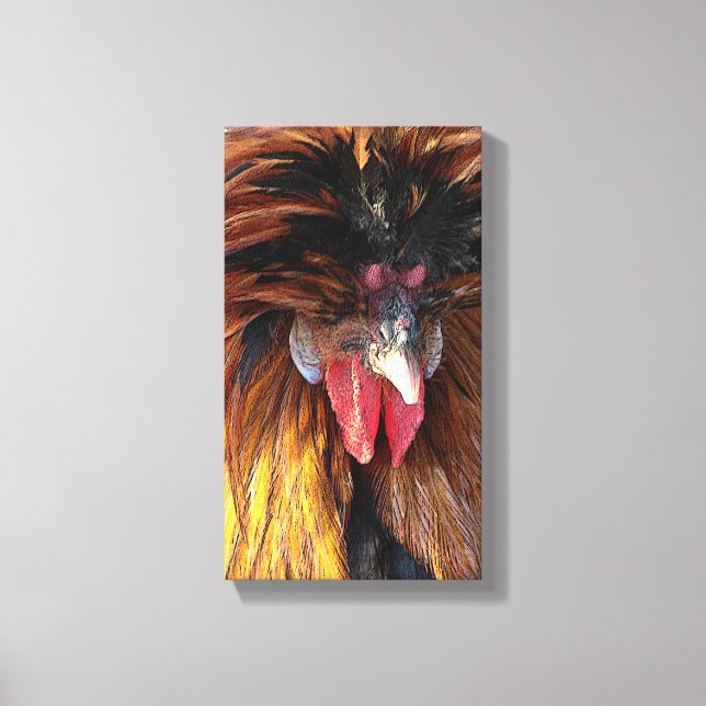 Polish Rooster Canvas Print (Front)