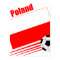 Polish Soccer Team