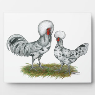 Polish Splash Chickens Plaque