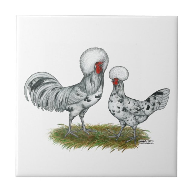Polish Splash Chickens Tile (Front)
