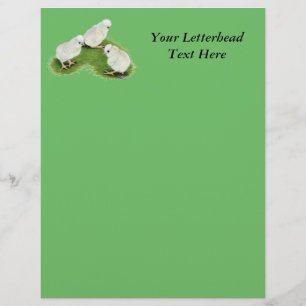 Polish Splash Chicks