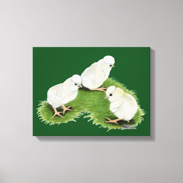 Polish Splash Chicks Canvas Print (Front)