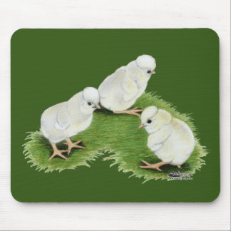 Polish Splash Chicks Mouse Pad