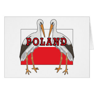 Polish White Stork Poland