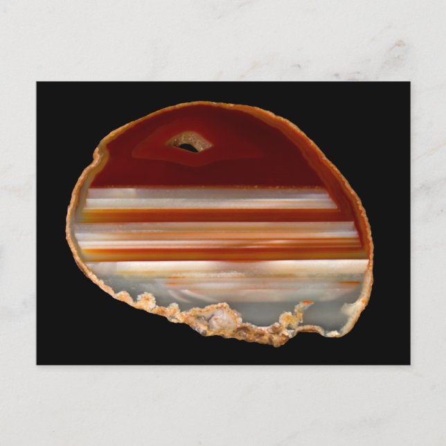 Polished Agate Slice Photo on Black Postcard (Front)