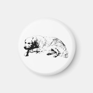 Polished Poise Keeps Inviting Calm At Your Fridge Magnet