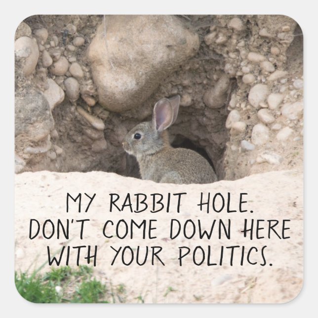 Political Rabbit Hole Bunny Photo Politics Humour Square Sticker (Front)