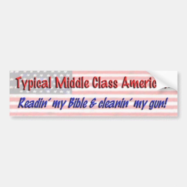 Politics Bumper Sticker (Front)
