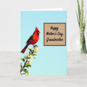 Polka Dot Crimson Songbird Card