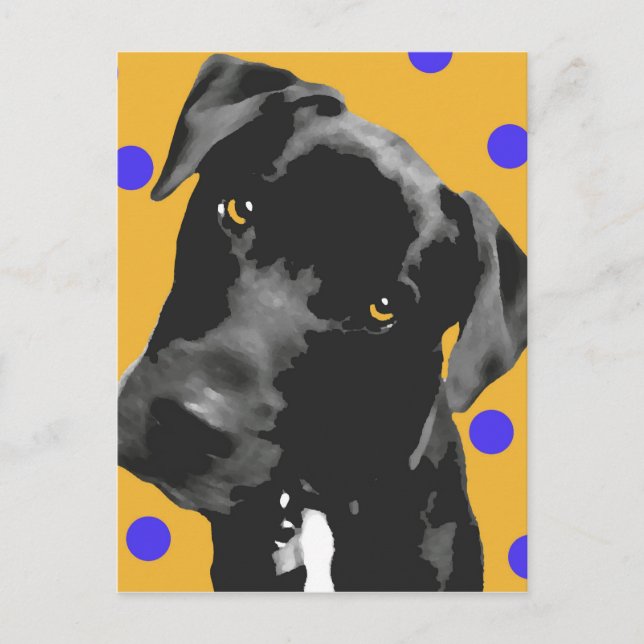 Polka Dot Postcard (Front)