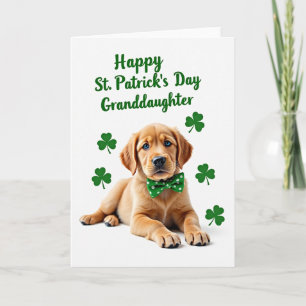 Polka Dot Puppy Patrick Card