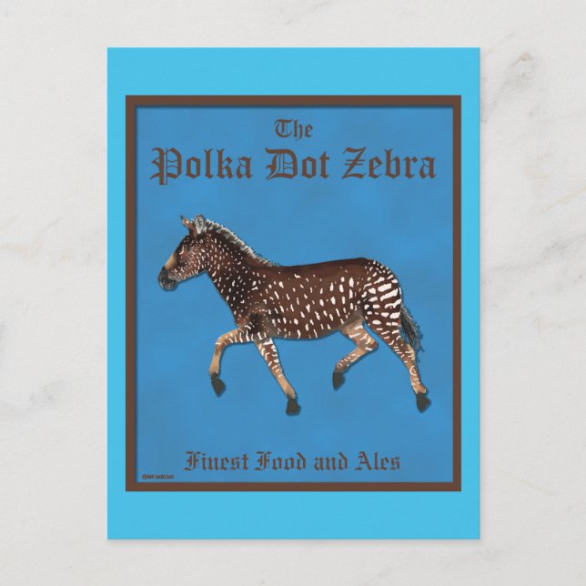 Polka Dot Zebra English Pub Postcard (Front)