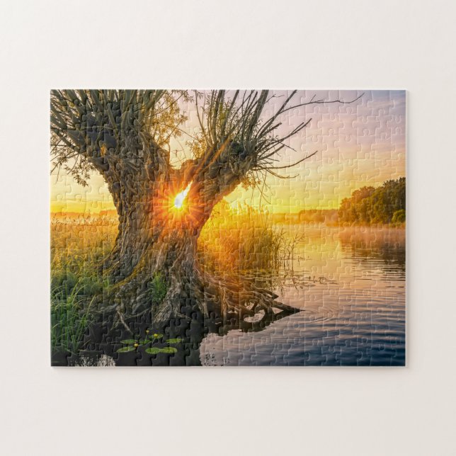 Pollard willow by misty river sunrise jigsaw puzzle (Horizontal)